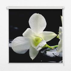 COLORAY.SK Roleta na okno Orchidey Žaluzija za propuščanje svetlobe 130x140 cm